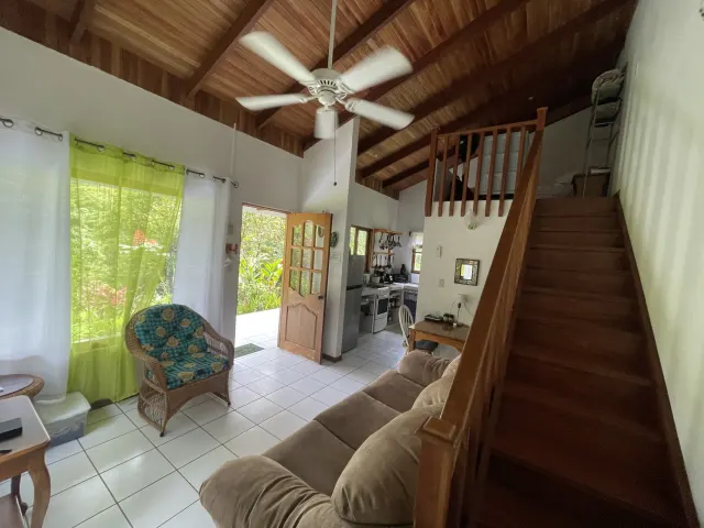 65-Acre Estate with Canopy Tour, Two Homes, horses, and Build-Ready Platforms