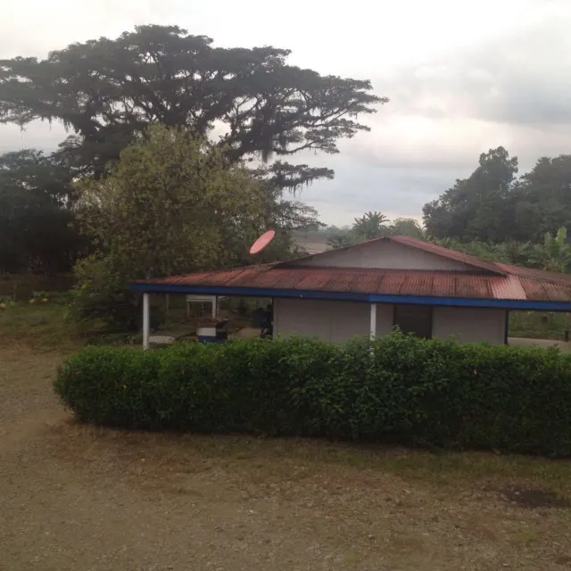 Livestock farm for sale and palm oil, 331 acres