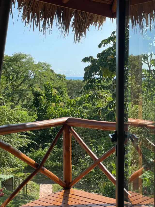 Ocean-View Mixed-Use Property in Mal Pais