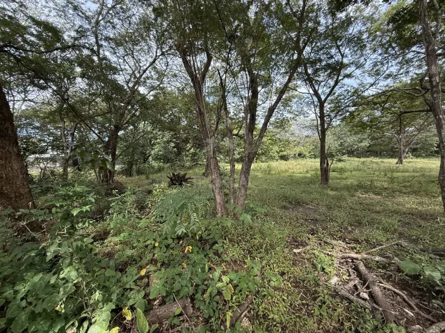 Villa Real Near Tamarindo – lot for sale