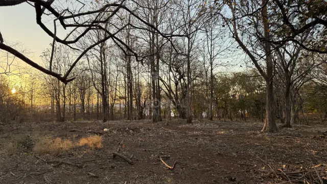 Unique Investment Opportunity – Beachfront Lot for Sale in Guanacaste