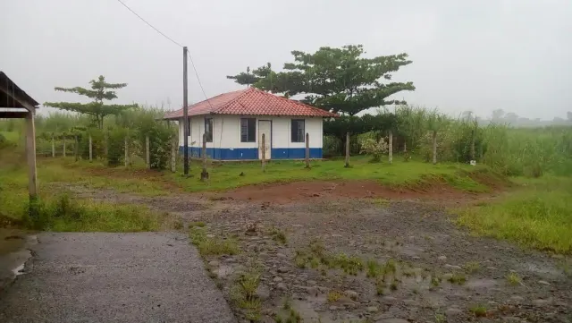 Livestock farm for sale and palm oil, 331 acres