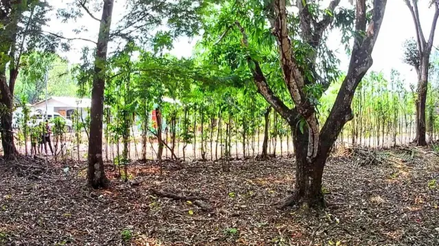 Strategic 1,312 m² Lot for Sale – Orotina, Alajuela | Frontage on Route 27