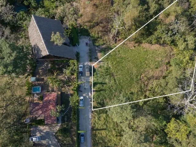 Aerial view of a forested lot with white boundary lines outlining the property next to a driveway and buildings.