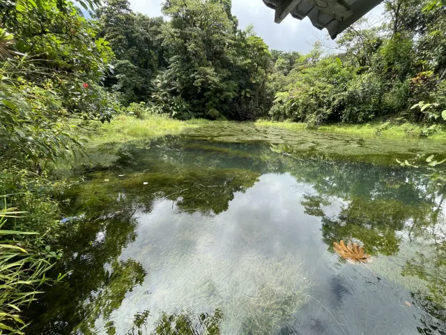 65-Acre Estate with Canopy Tour, Two Homes, horses, and Build-Ready Platforms