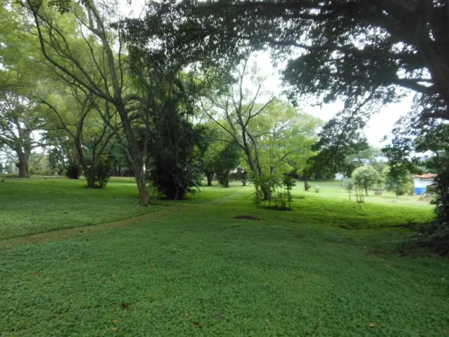 Building Plot in Rio Segundo, Alajuela