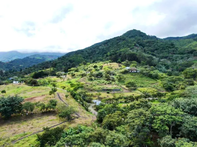 Prime 7.2-Hectare Estate in Santa Ana: Ideal for Family Living, Equestrian Facilities, or Spa Retreat