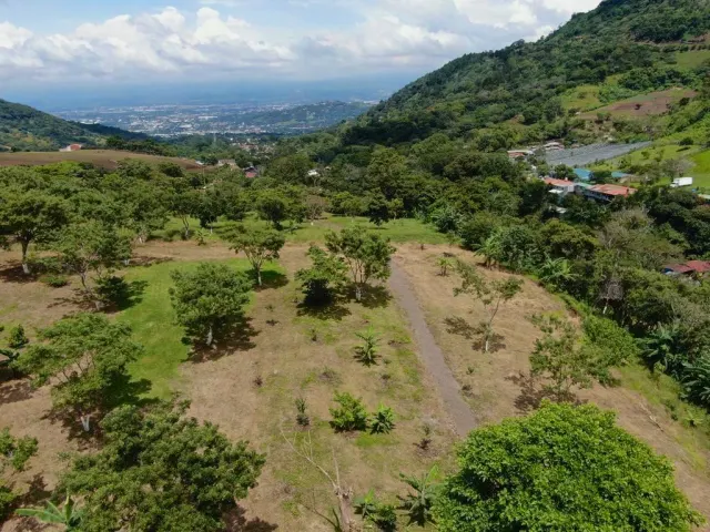 Prime 7.2-Hectare Estate in Santa Ana: Ideal for Family Living, Equestrian Facilities, or Spa Retreat