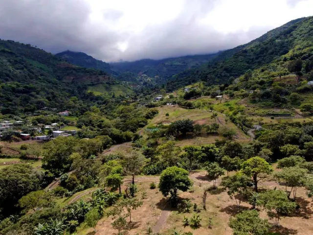 Prime 7.2-Hectare Estate in Santa Ana: Ideal for Family Living, Equestrian Facilities, or Spa Retreat