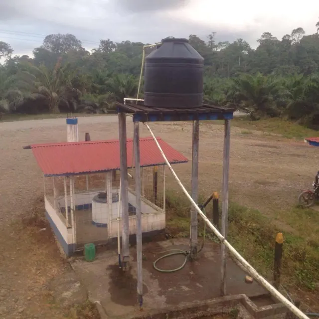 Livestock farm for sale and palm oil, 331 acres