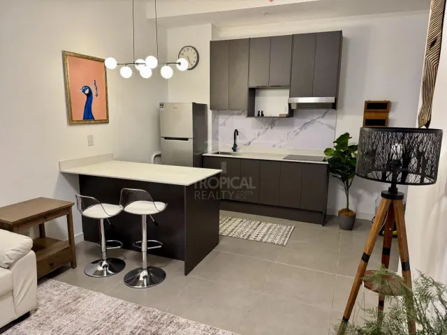 Modern Penthouse in Barrio Escalante | Urban Living with Panoramic Views