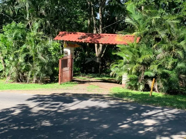 Metal gate with a red tile roof entry structure surrounded by dense trees and palms along a paved road.
