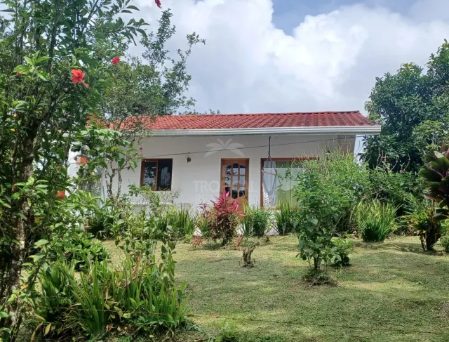 65-Acre Lakeview Property in Nuevo Arenal, Ideal for Family Residential Development