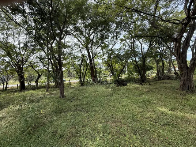 Villa Real Near Tamarindo – lot for sale