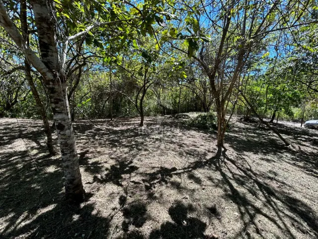 1000m² Lot for Sale in Las Delicias de Cobano: Your Coastal Oasis in Costa Rica.