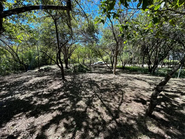 1000m² Lot for Sale in Las Delicias de Cobano: Your Coastal Oasis in Costa Rica.
