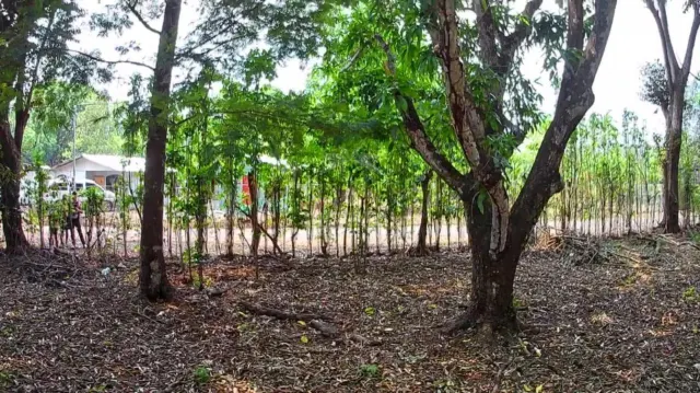 Strategic 1,312 m² Lot for Sale – Orotina, Alajuela | Frontage on Route 27