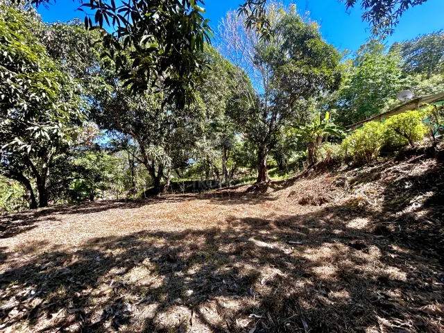 Commercial Mixed-Use Lot for Sale – Prime Location near Manzanillo Beach