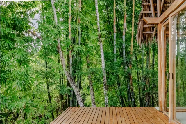 Luxury Ocean View Estate in Santa Teresa – Privacy, Nature and Investment Potential