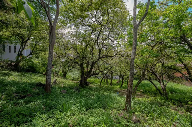 Residential Private Lush Lot in Rio Oro , Santa Ana
