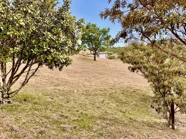 Land for Sale in San Ramón de Alajuela – 3,100 m² with Beautiful Views