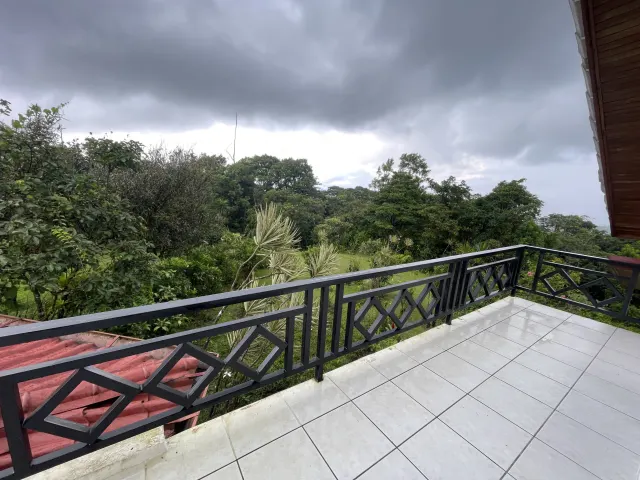 65-Acre Estate with Canopy Tour, Two Homes, horses, and Build-Ready Platforms