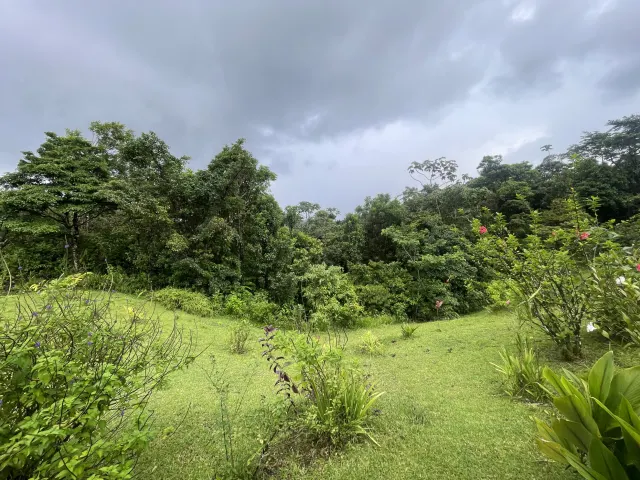 65-Acre Estate with Canopy Tour, Two Homes, horses, and Build-Ready Platforms