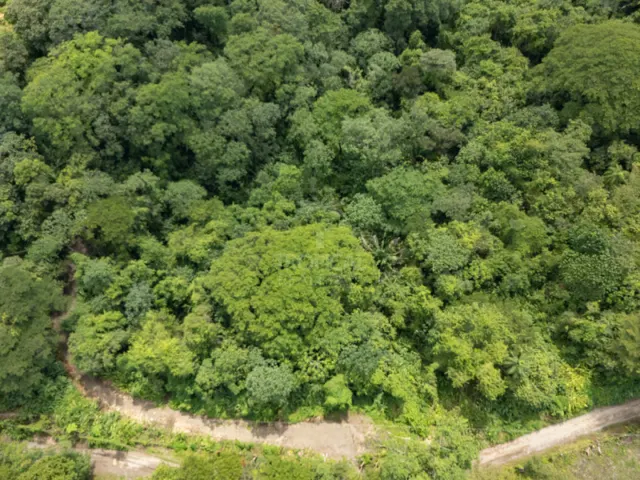 Strategic Commercial Lot in Cabuya – High Visibility and Outstanding Development Potential