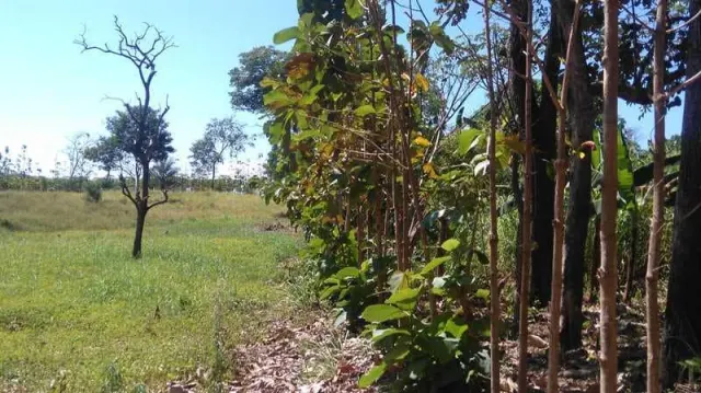 Nature Lover's Paradise: Unique Property with Two Homes on Expansive Land
