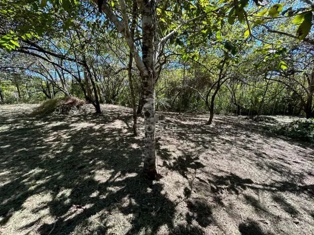 1000m² Lot for Sale in Las Delicias de Cobano: Your Coastal Oasis in Costa Rica.