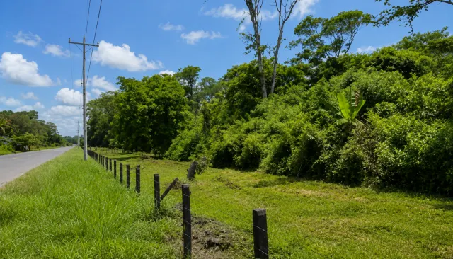 Large Development Property for Sale in Limón | 29.8 Hectares in Costa Rica’s Caribbean Region