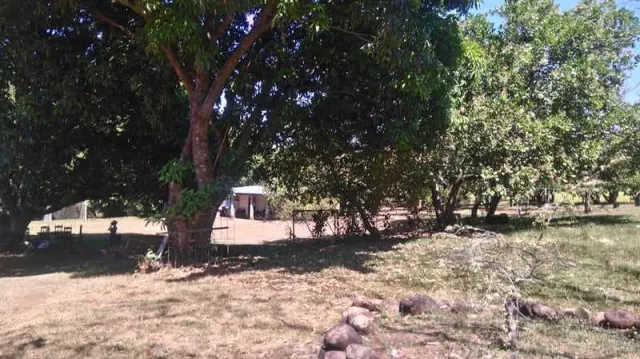 Nature Lover's Paradise: Unique Property with Two Homes on Expansive Land