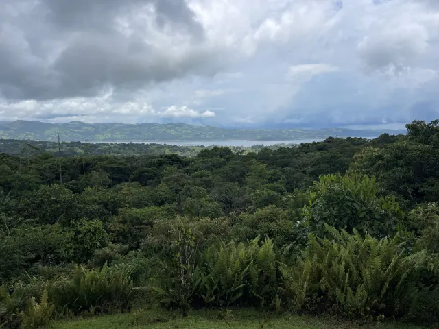 65-Acre Estate with Canopy Tour, Two Homes, horses, and Build-Ready Platforms