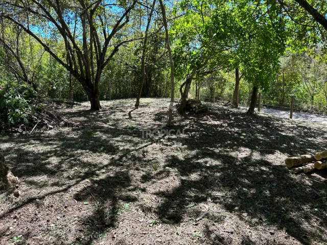 1000m² Lot for Sale in Las Delicias de Cobano: Your Coastal Oasis in Costa Rica.