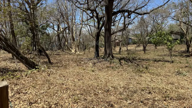 Unique Investment Opportunity – Beachfront Lot for Sale in Guanacaste