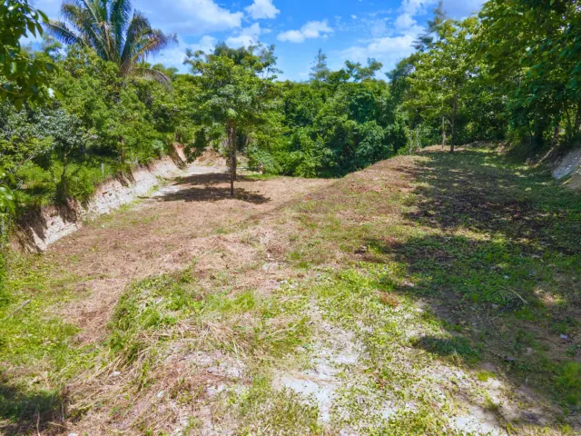 Lot with Registered Well and 3 Buildable Platforms – Minutes from Santa Teresa