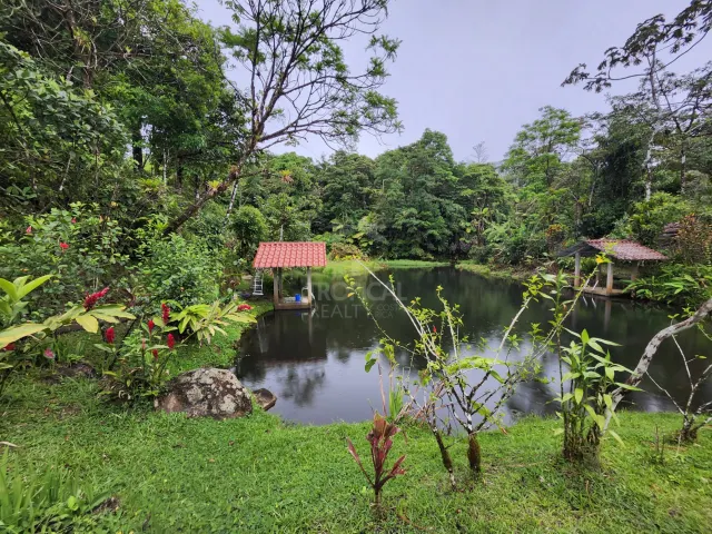 65-Acre Lakeview Property in Nuevo Arenal, Ideal for Family Residential Development