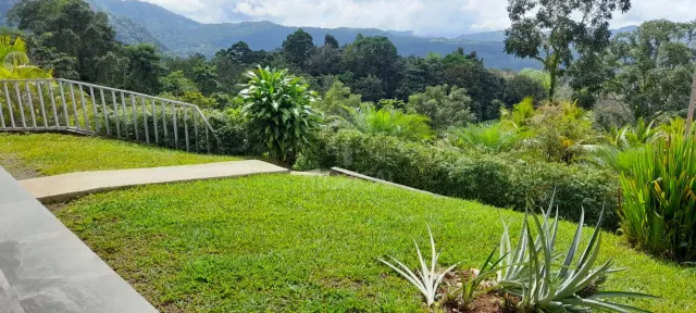 Ocean-View Boutique Hotel in Dominical – 13 Turn-Key Units on 1 Hectare