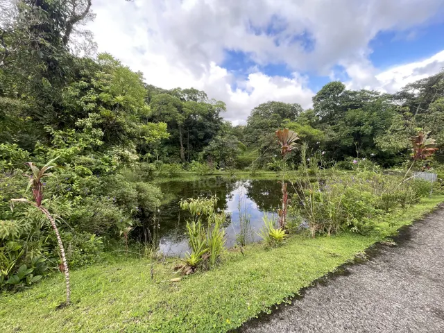 65-Acre Lakeview Property in Nuevo Arenal, Ideal for Family Residential Development