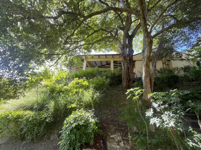 House in Alto Las Palomas single story with breathtaking Views and Lush Gardens