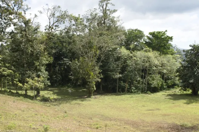 Arenal Lake view front property 15.23 acres
