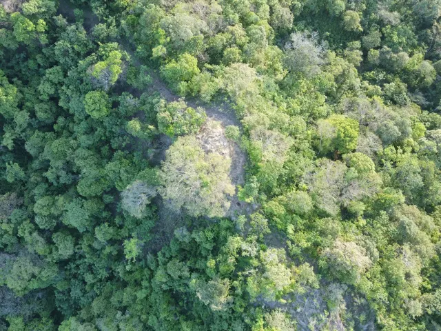 Natural Sanctuary for Sale Near Playa Negra – Two Titled Lots in Guanacaste