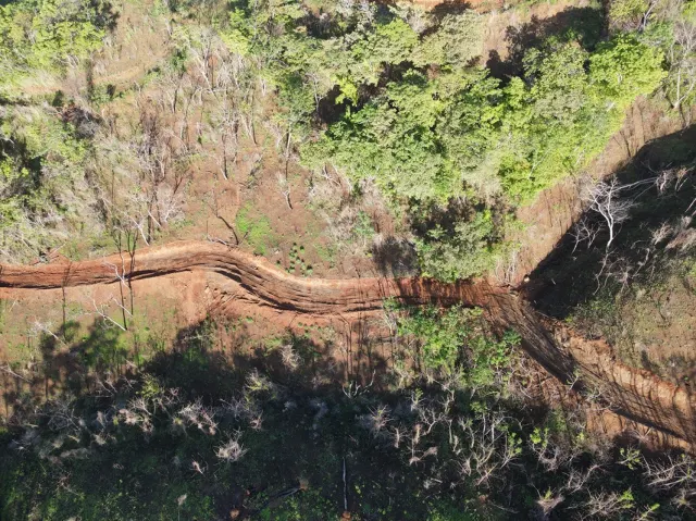 Natural Sanctuary for Sale Near Playa Negra – Two Titled Lots in Guanacaste