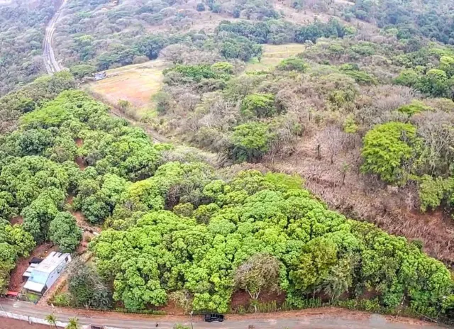 Strategic 1,312 m² Lot for Sale – Orotina, Alajuela | Frontage on Route 27