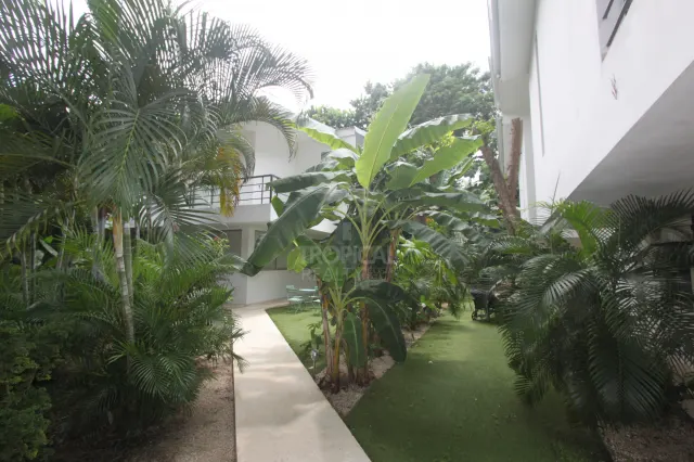 Furnished 3-Bedroom Apartment for Rent, Playa Potrero
