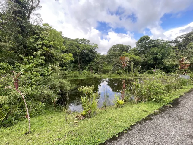 65-Acre Estate with Canopy Tour, Two Homes, horses, and Build-Ready Platforms