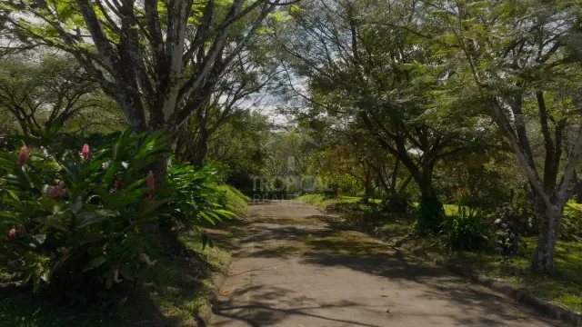 Prime Land for Development – La Guácima