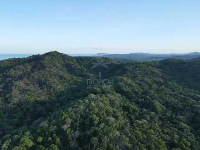 Natural Sanctuary for Sale Near Playa Negra – Two Titled Lots in Guanacaste