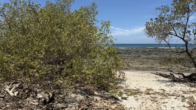 Unique Investment Opportunity – Beachfront Lot for Sale in Guanacaste