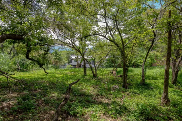 Residential Private Lush Lot in Rio Oro , Santa Ana